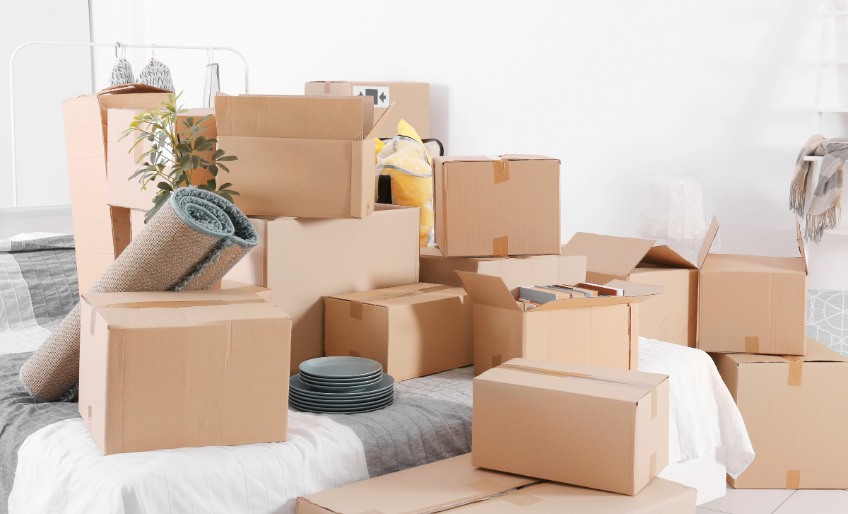 storage boxes